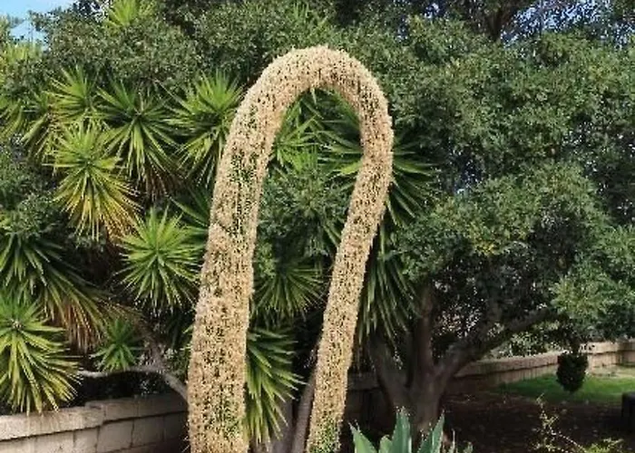 Casa Alhambra 4-6 P By Interhome * Guía de Isora